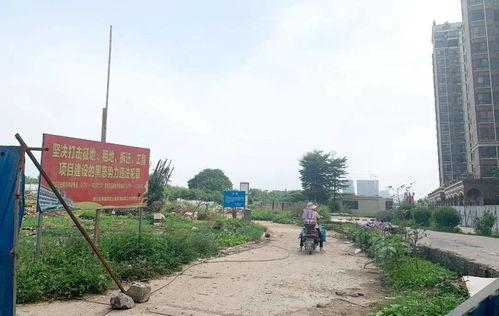 贵港桂平爆料事件最新进展,真相逐步浮出水面