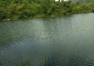 东风水库爆料最新消息,揭秘工程进展与未来规划”